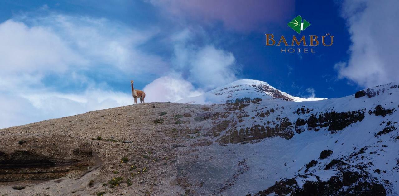 Hotel Bambu Riobamba Eksteriør bilde